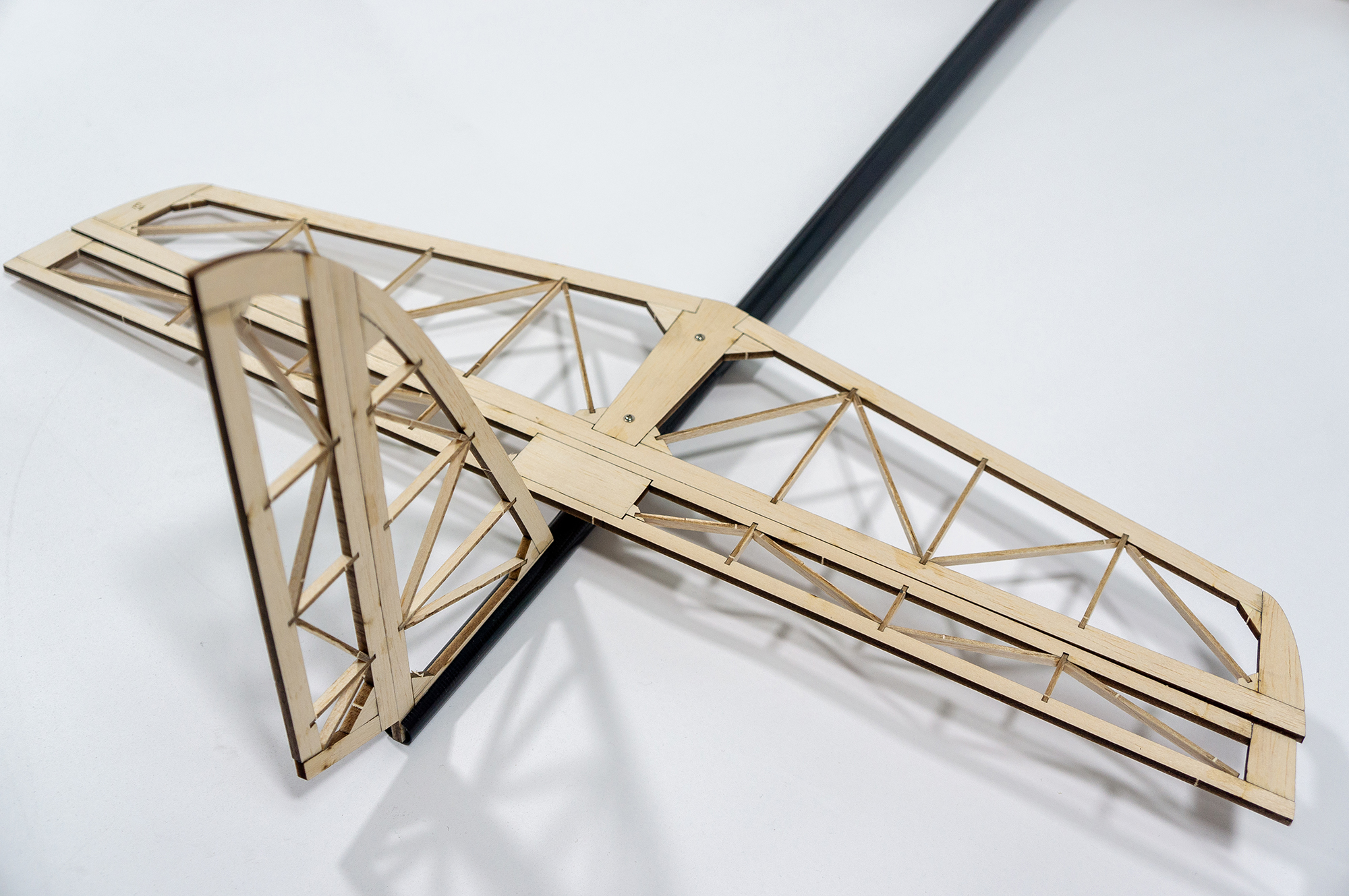 DW Hobby 2M Wingspan Aero Blad - огляд і ціна Rc Hobby Aero